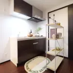 家具付きモデルルーム（シックスタイル※Drタイプ）