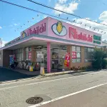 ニシイチドラッグ健康館 山本駅前店（周辺施設）