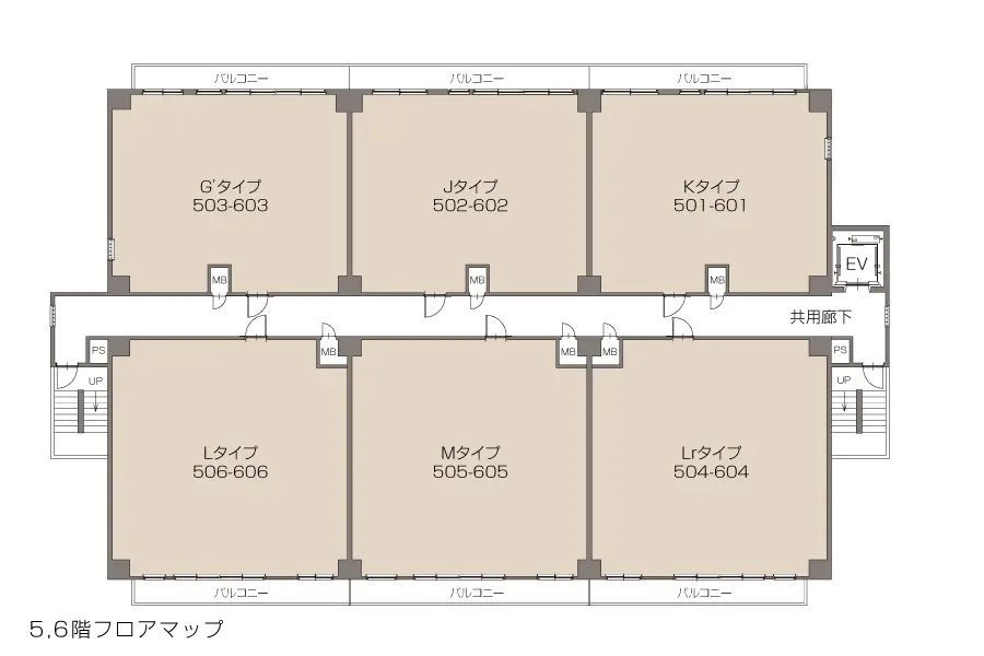 5.6階フロアマップ