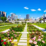 中之島公園（周辺施設）